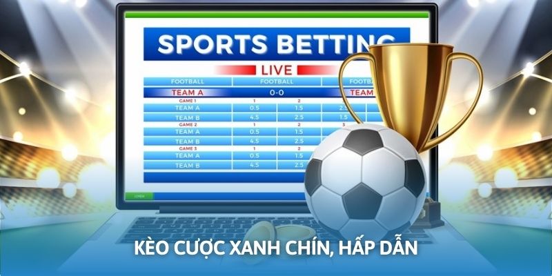 LOCLA88 cung cấp nhiều nhiều trận đấu chất lượng, uy, tín và hấp dẫn